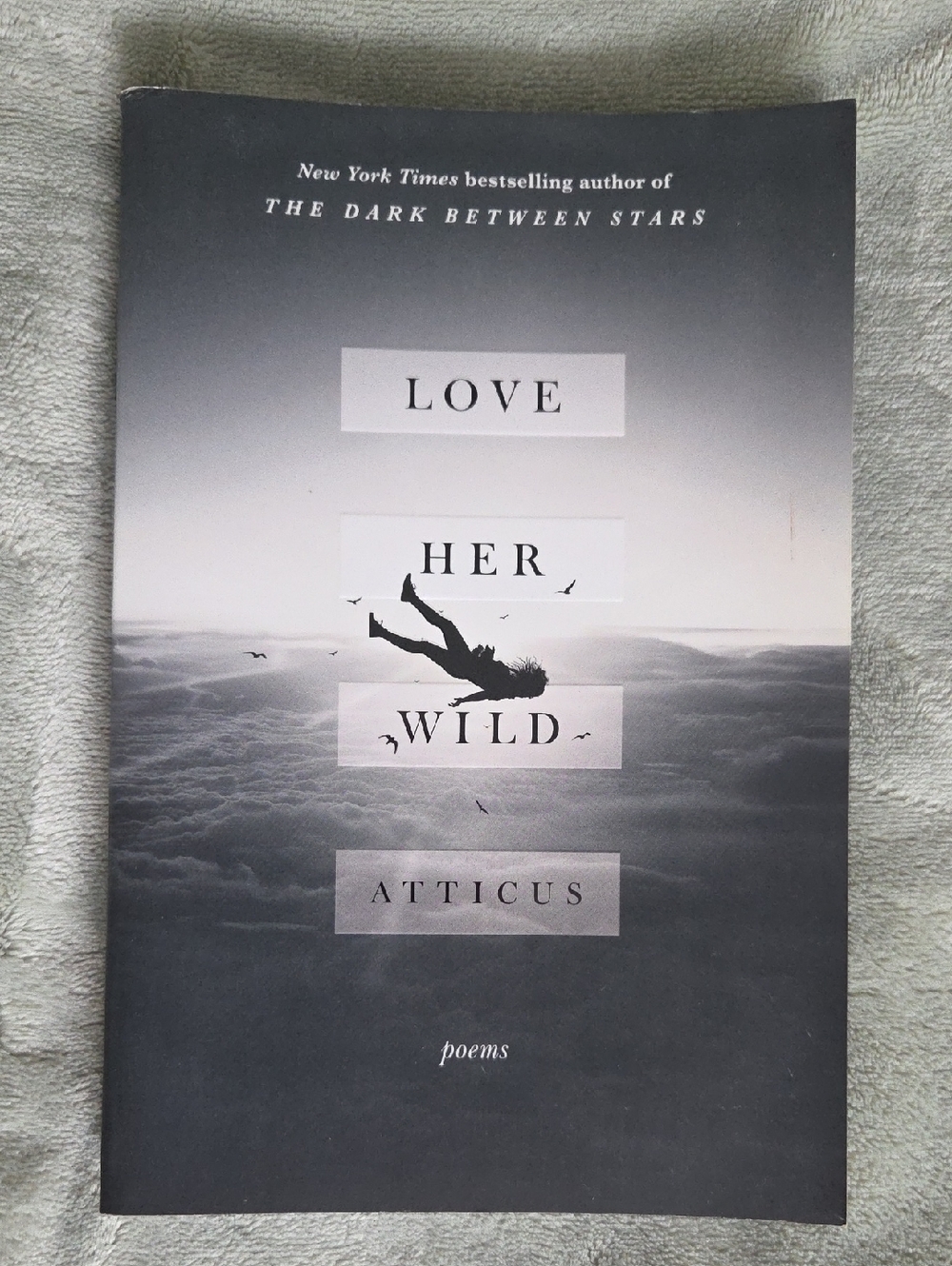 Love Her Wild by Atticus - Black & Gray Poetry Book